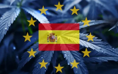 The Legal Landscape for Cannabis Social Clubs in Spain
