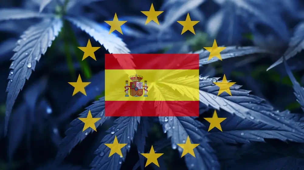 The-Legal-Landscape-for-Cannabis-Social-Clubs-in-Spain