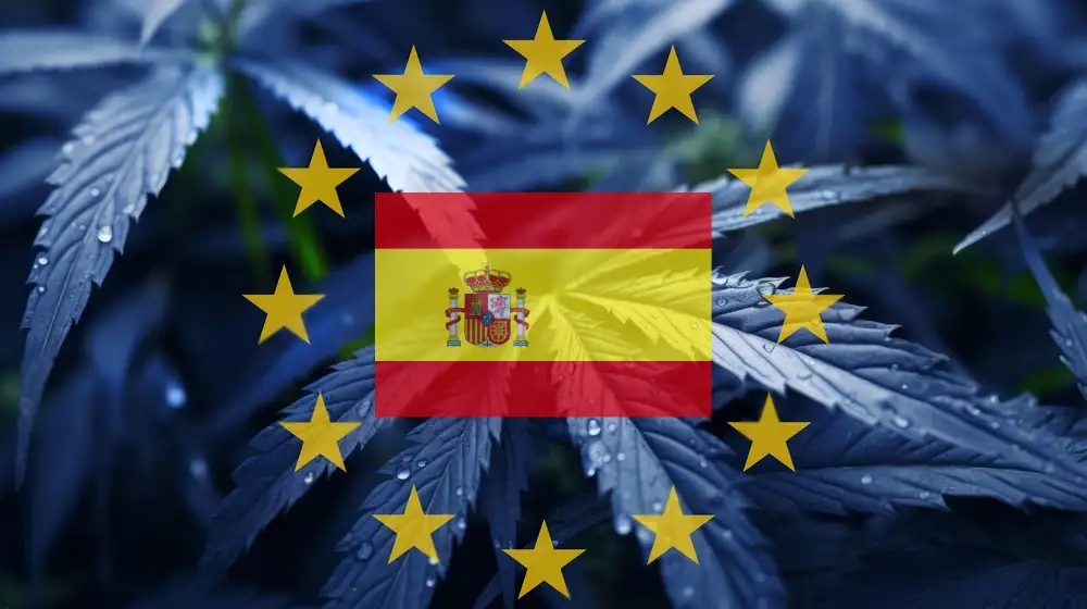 The Legal Landscape for Cannabis Social Clubs in Spain