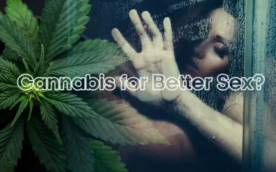 Cannabis for Better Sex? Exploring Cannabis Effects on Sex