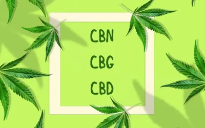 The Difference Between CBD, CBG, and CBN (A Guide for Cannabis Enthusiasts)